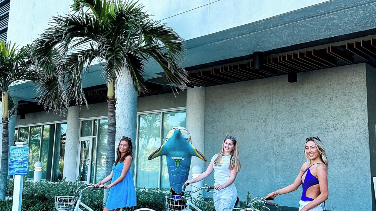 Photo of Outdoor in Sand Key