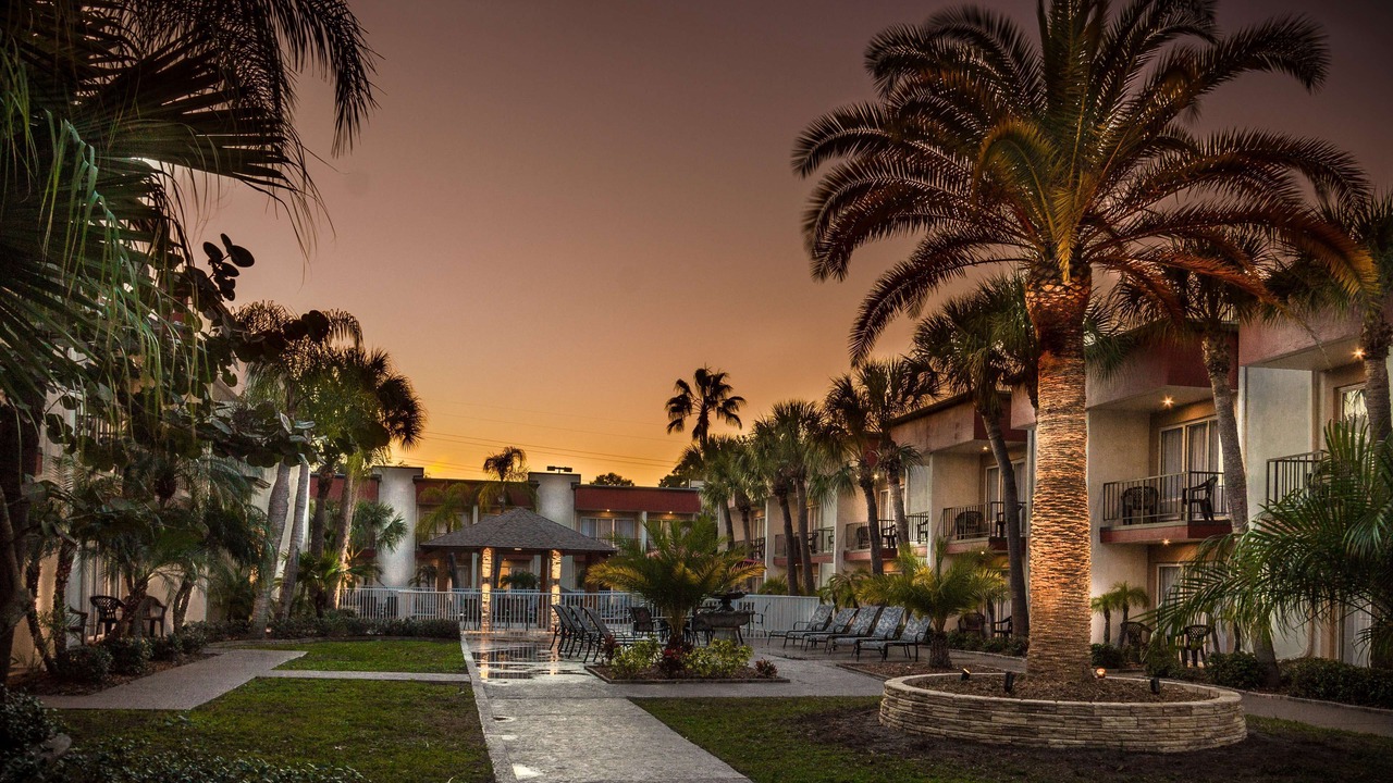 Photo of Outdoor in Clearwater