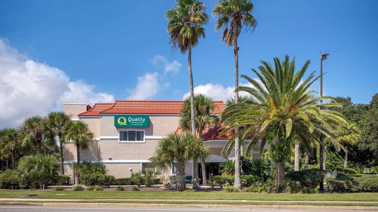 Photo of Outdoor in St. Augustine Beach