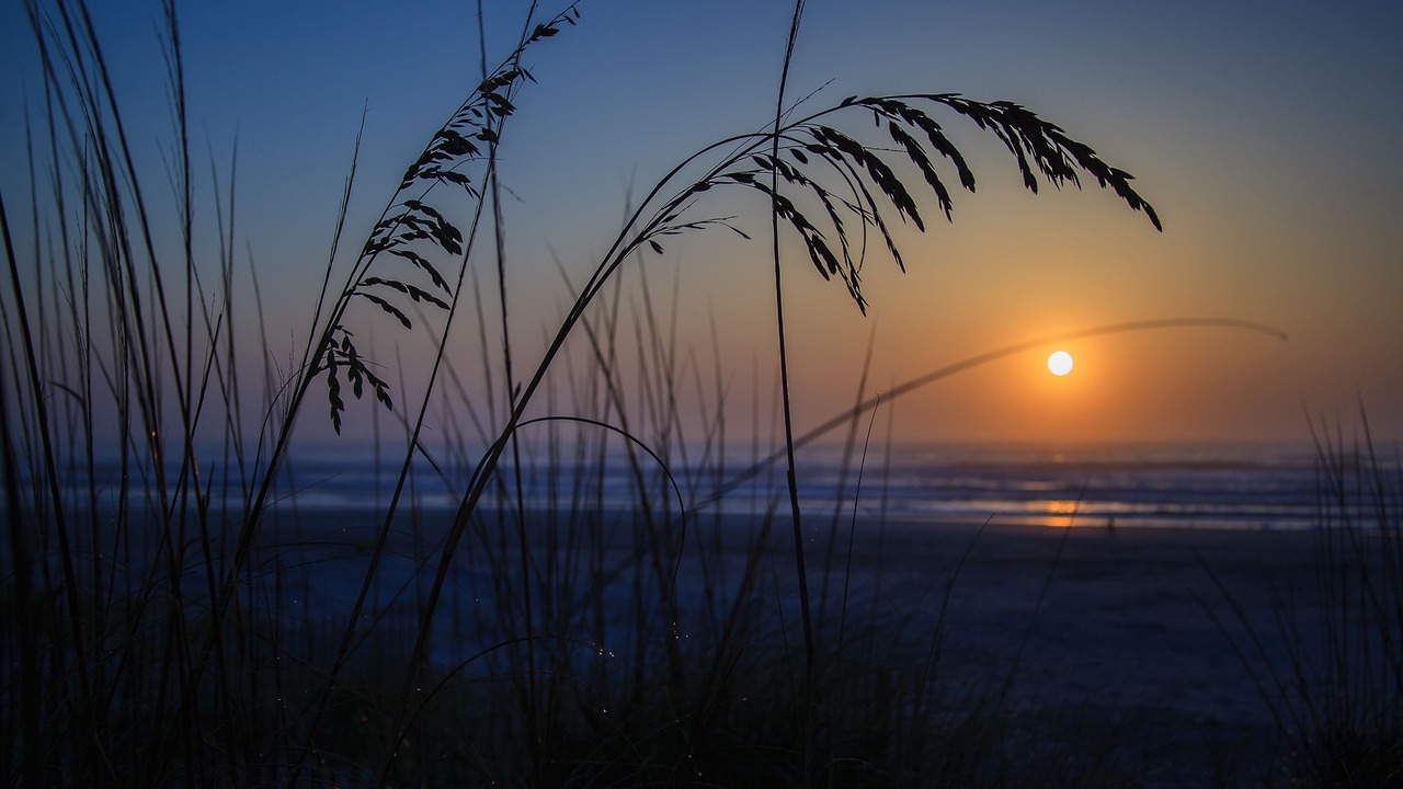 Photo of Others in St. Augustine Beach