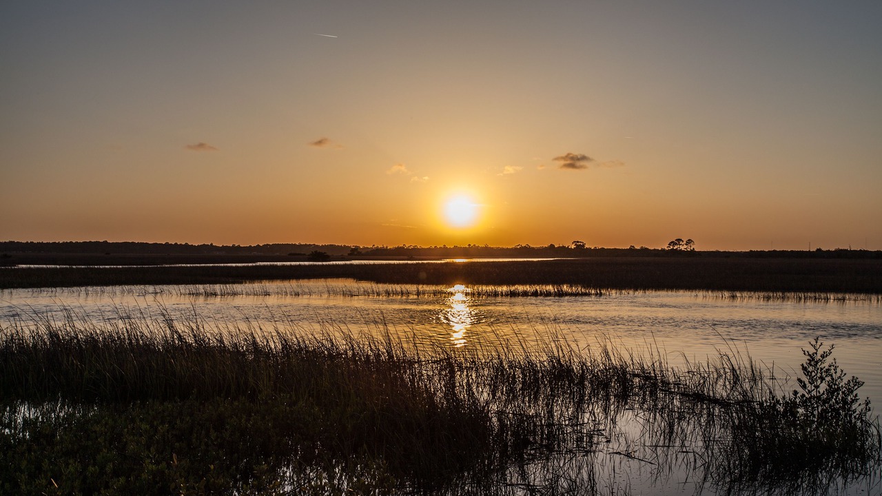 Photo of Others in St. Augustine Beach