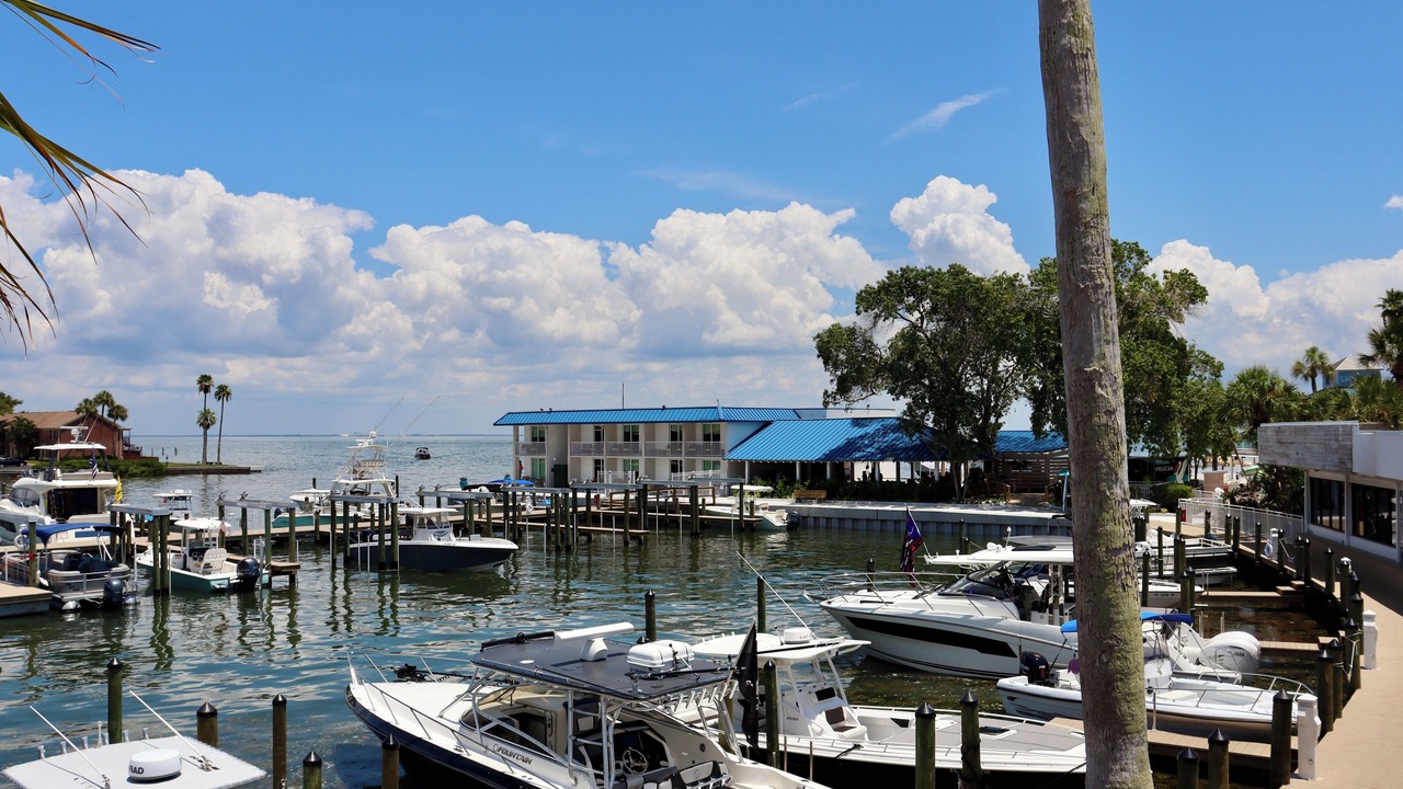 Photo of Others in Pinellas Point