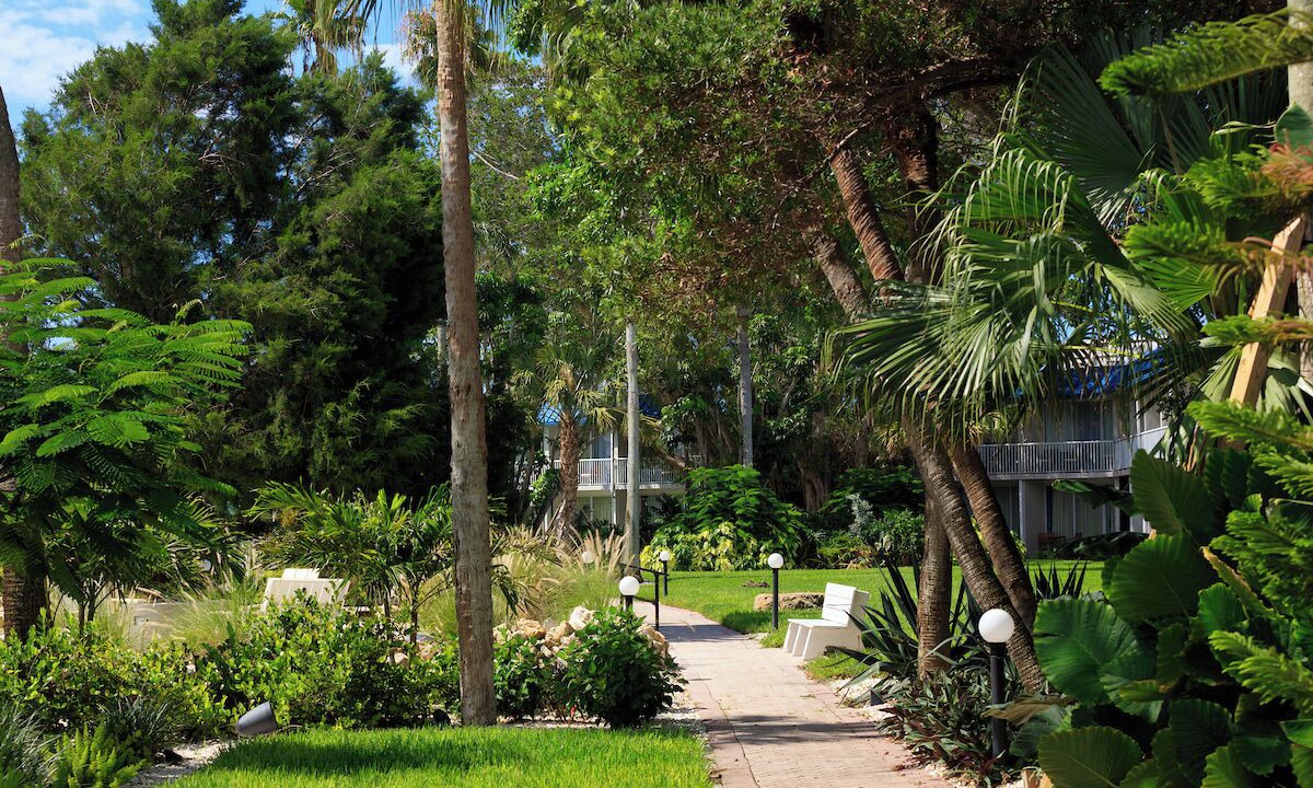 Photo of Outdoor in Pinellas Point