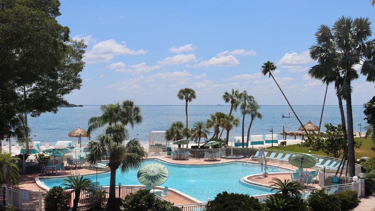 Photo of Outdoor in Pinellas Point
