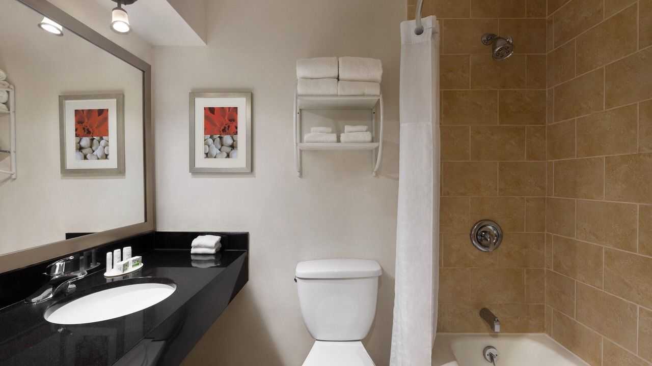 Photo of Bathroom in Whitfield