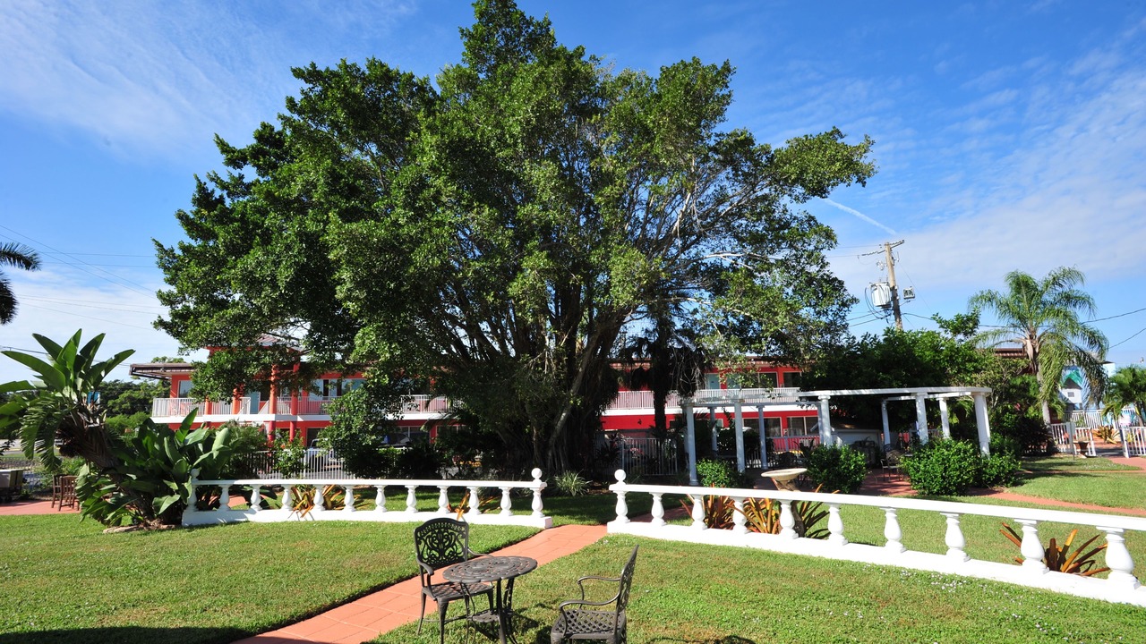 Photo of Outdoor in San Carlos Park