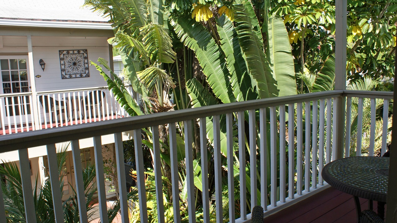 Photo of Patio Balcony in Parrot Cove