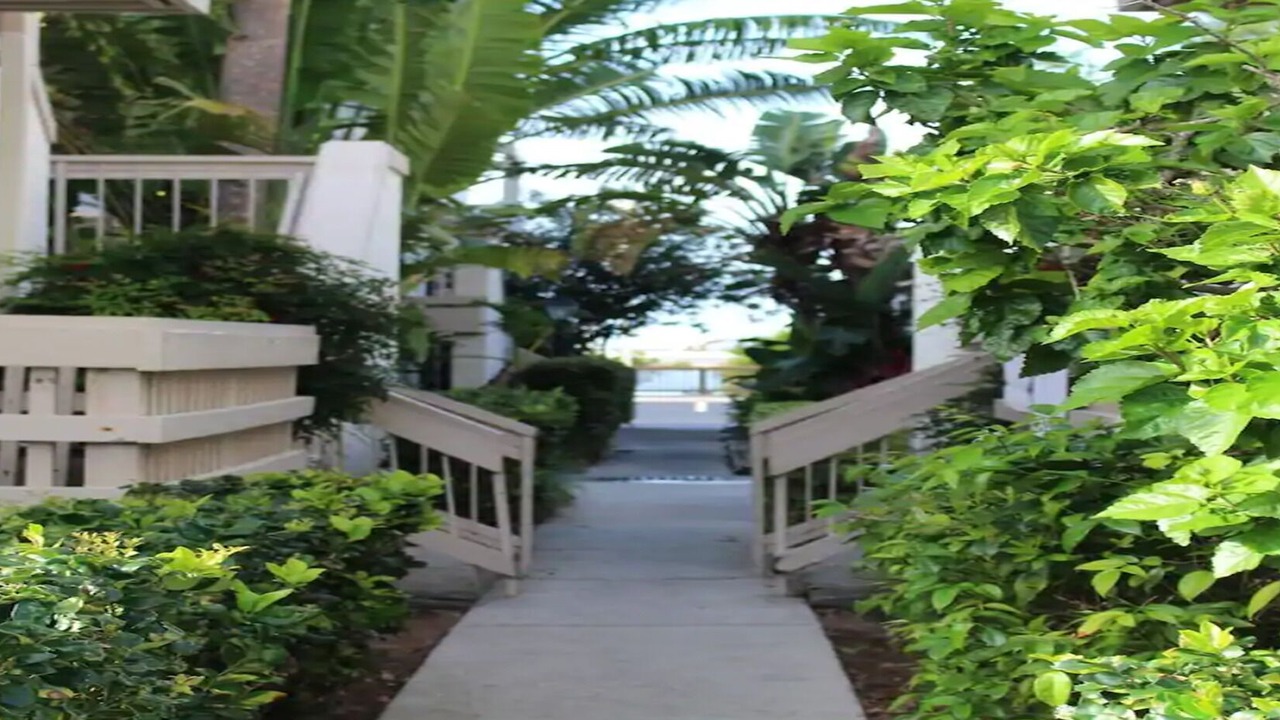 Photo of Outdoor in Rocky Point