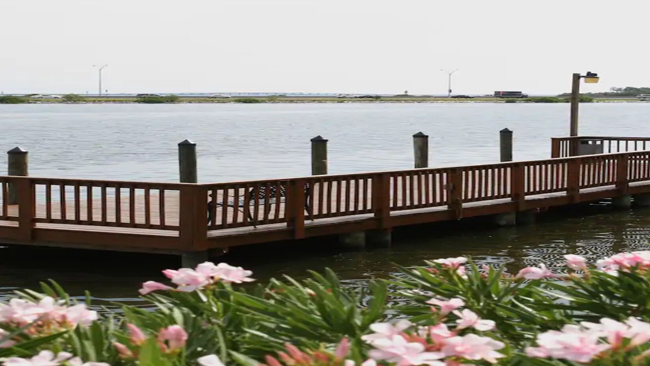 Photo of Outdoor in Rocky Point