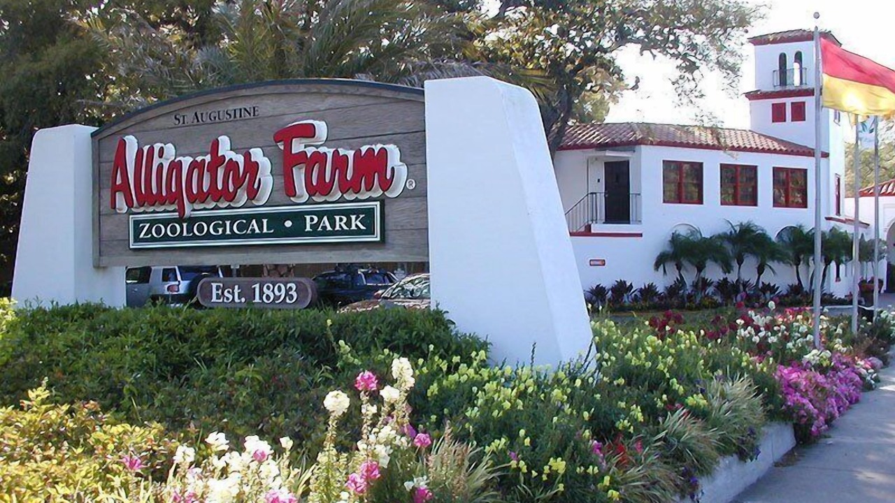 Photo of Others in St. Augustine