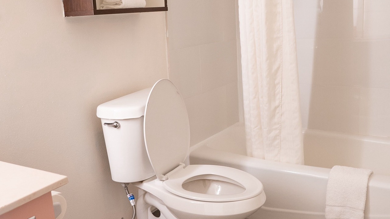 Photo of Bathroom in Clearwater