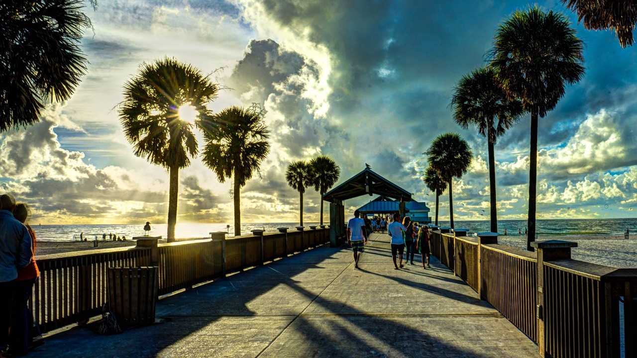 Photo of Others in Oldsmar