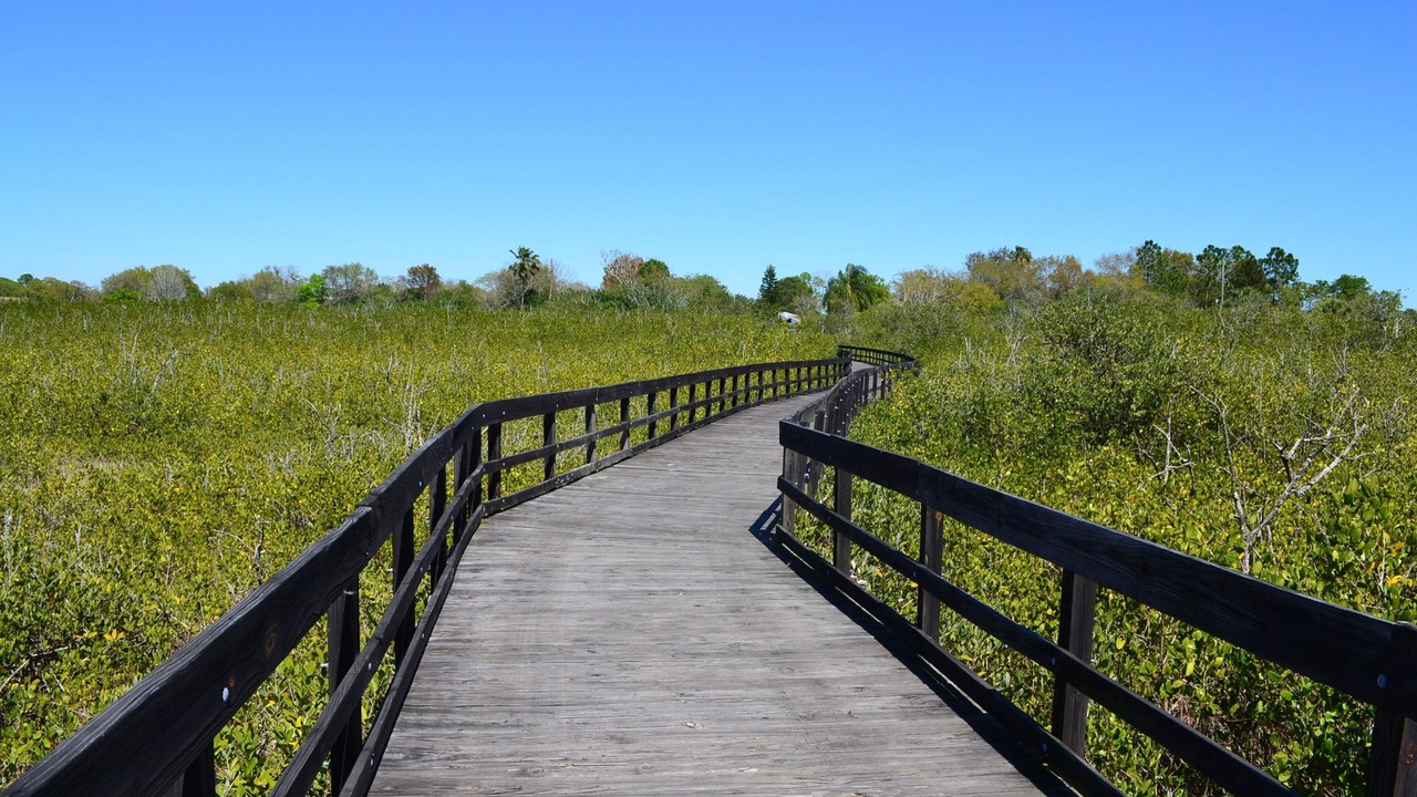Photo of Others in Oldsmar