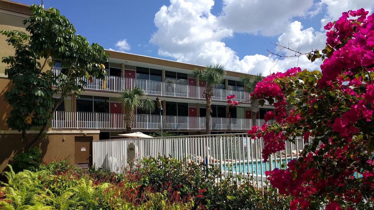 Photo of Outdoor in Fort Lauderdale