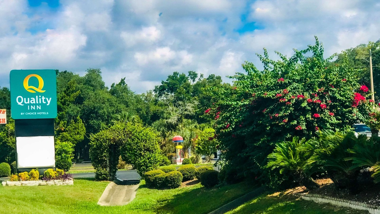 Photo of Outdoor in Chiefland