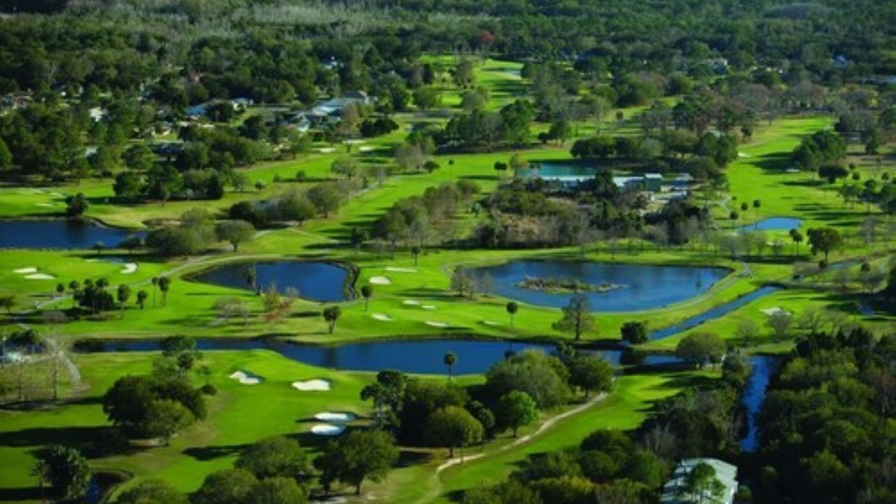 Photo of Outdoor in Crystal River
