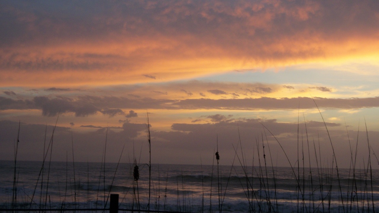 Photo of Others in Indialantic