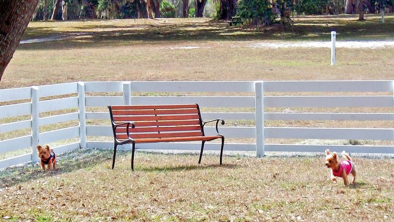 Photo of Others in Flagler Beach
