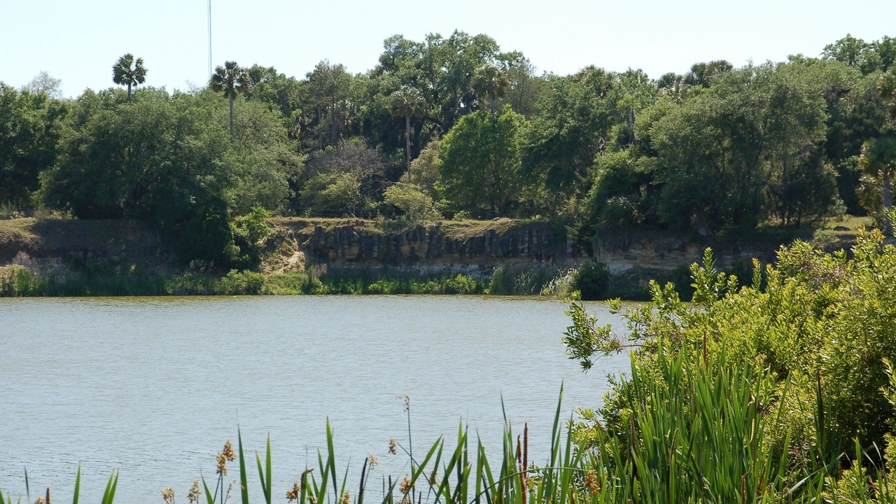 Photo of Outdoor in Flagler Beach