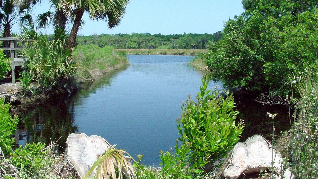Photo of Outdoor in Flagler Beach