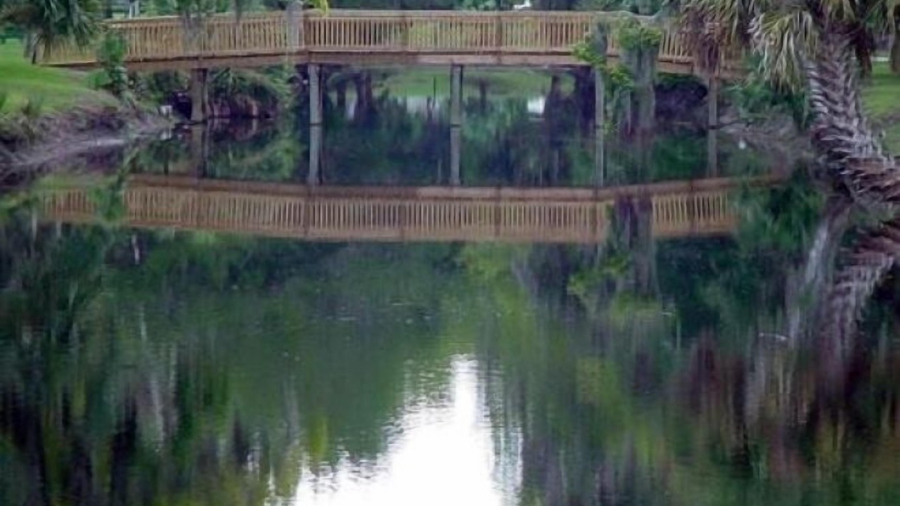 Photo of Outdoor in Flagler Beach