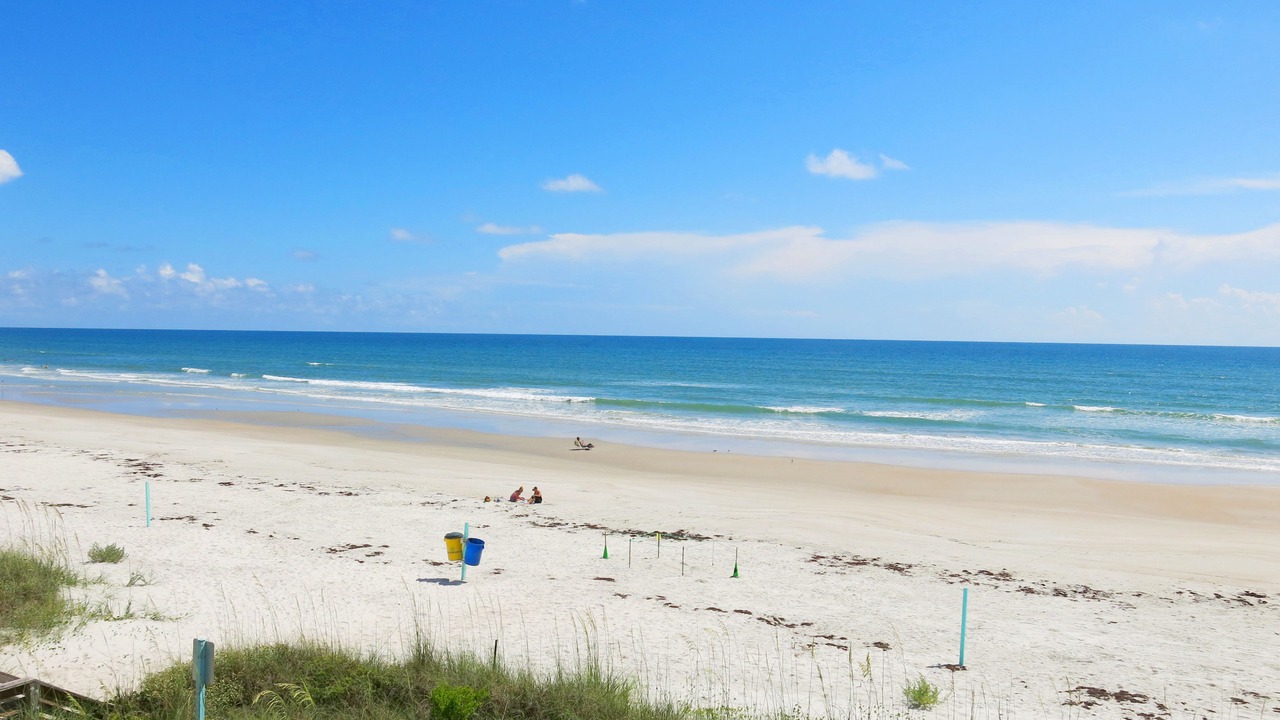 Photo of Others in New Smyrna Beach