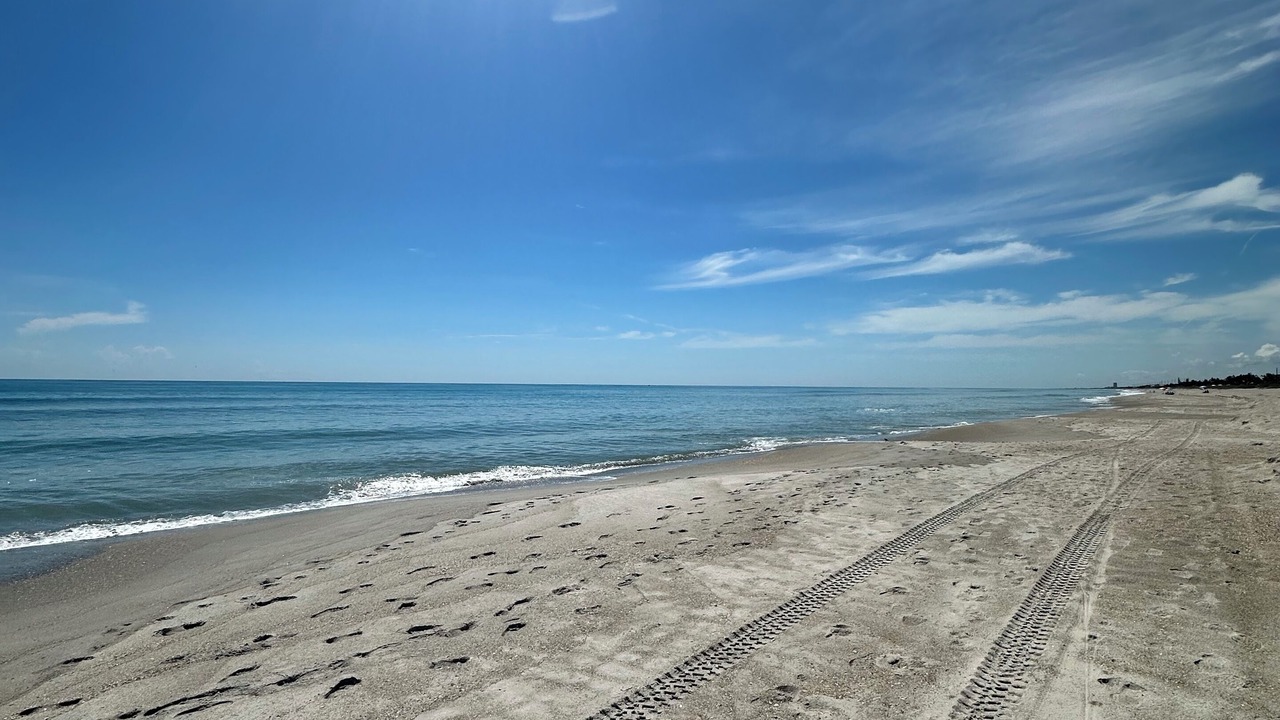 Photo of Others in Indialantic By The Sea