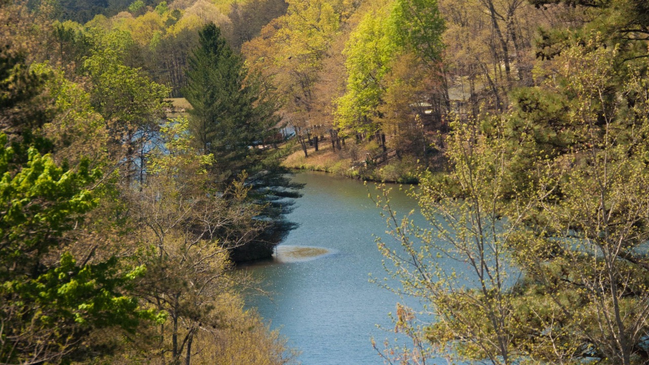 Photo of Outdoor in Cleveland