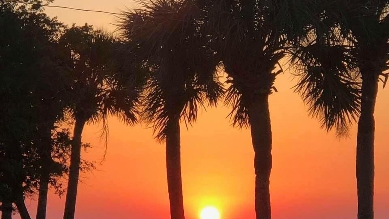 Photo of Outdoor in Hudson Beach Estates