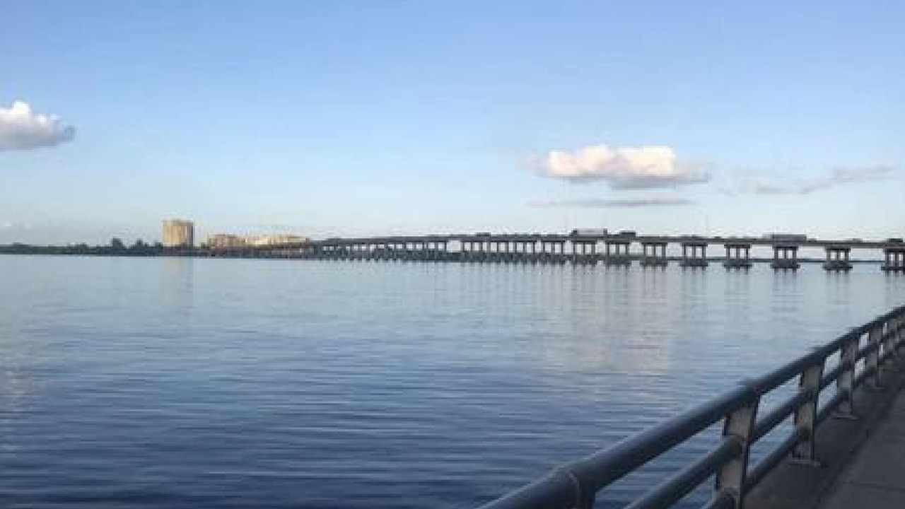 Photo of Others in Braden River