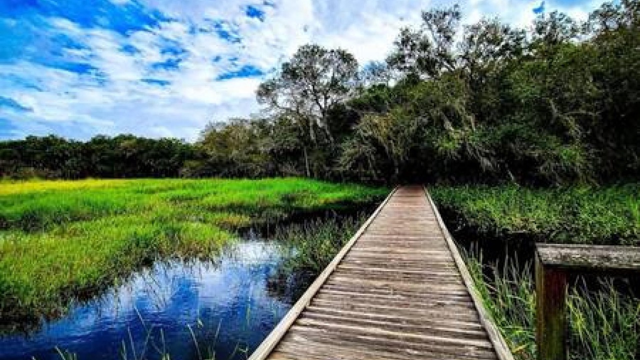 Photo of Others in Braden River