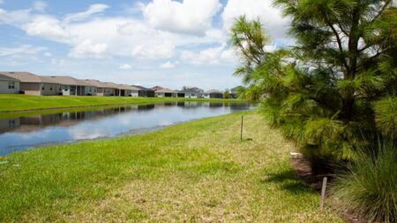 Photo of Others in Braden River