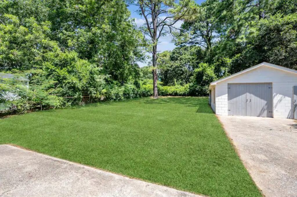 Photo of Outdoor in Forest Park