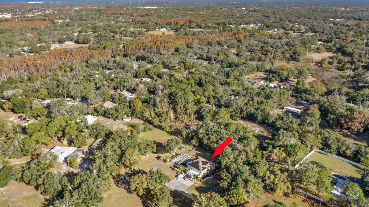 Photo of Outdoor in Port Richey