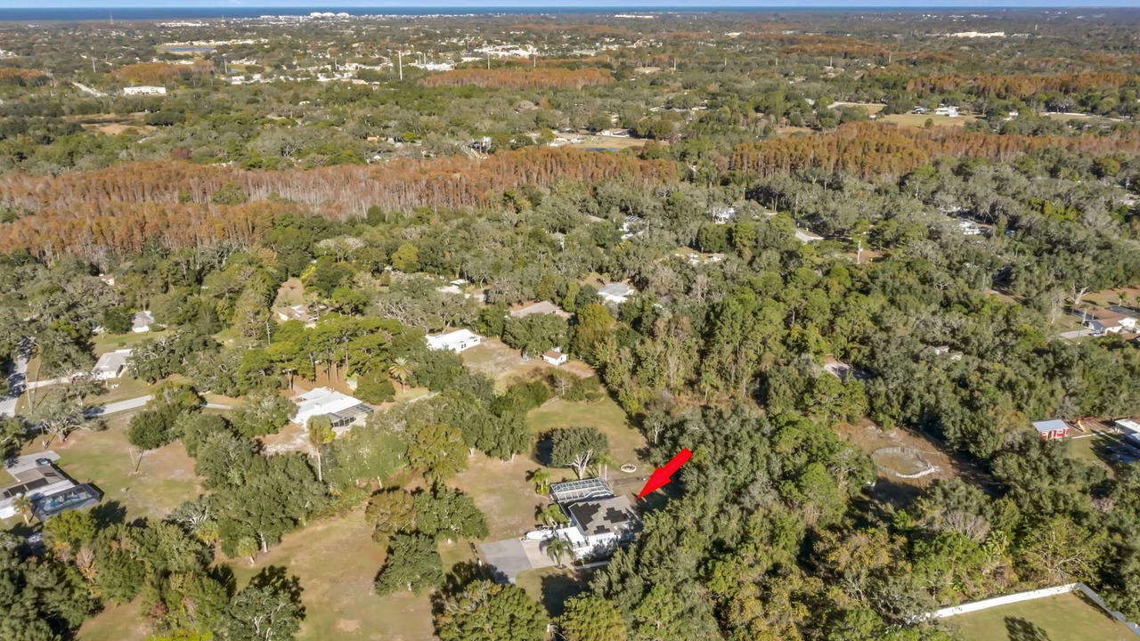Photo of Outdoor in Port Richey