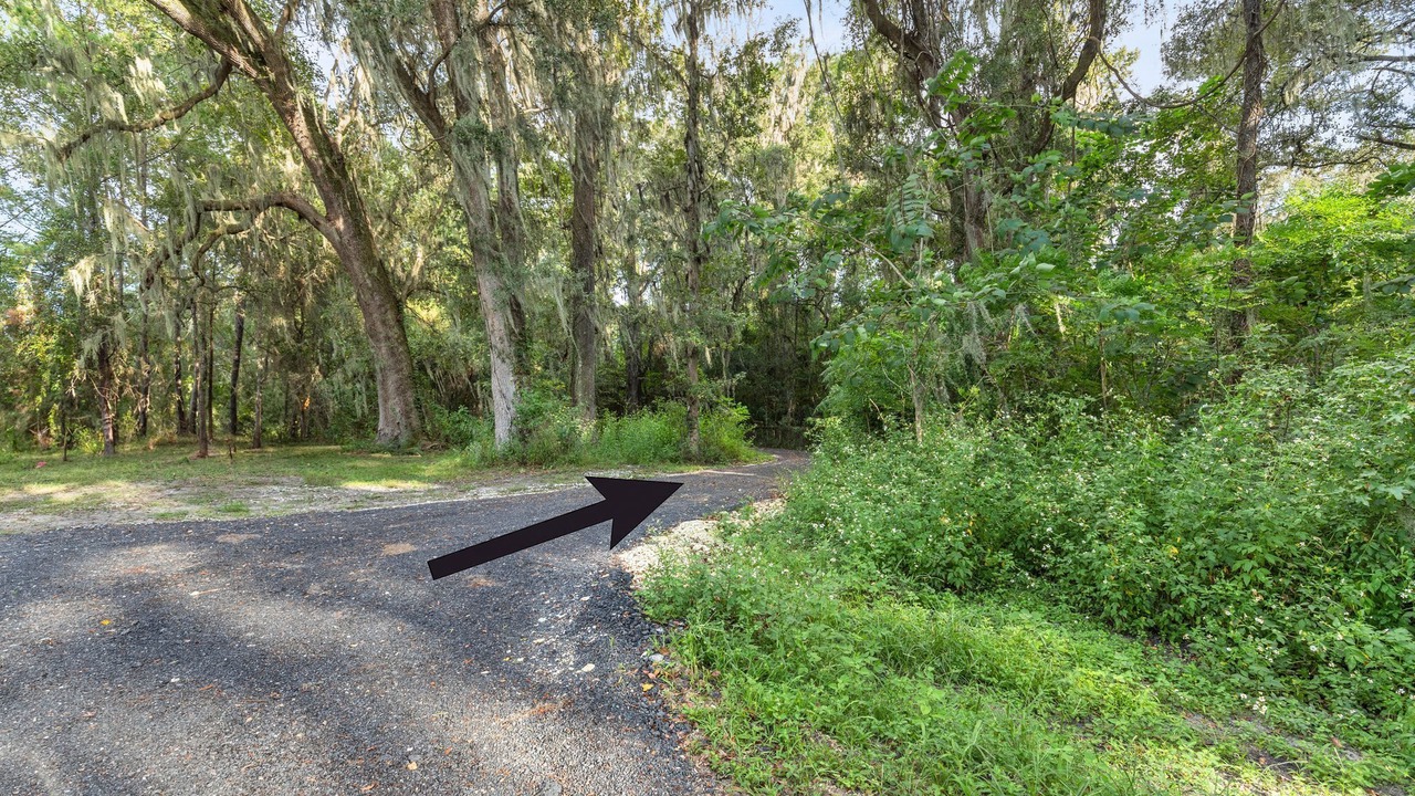 Photo of Outdoor in Ocala
