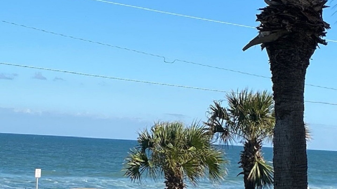 Photo of Others in Ormond Beach