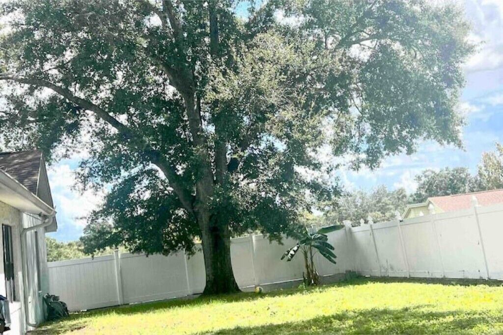 Photo of Outdoor in Ocoee