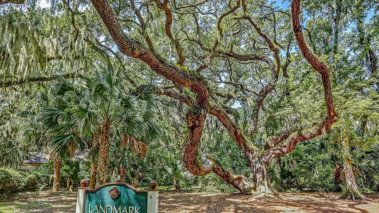 Photo of Others in Fernandina Beach