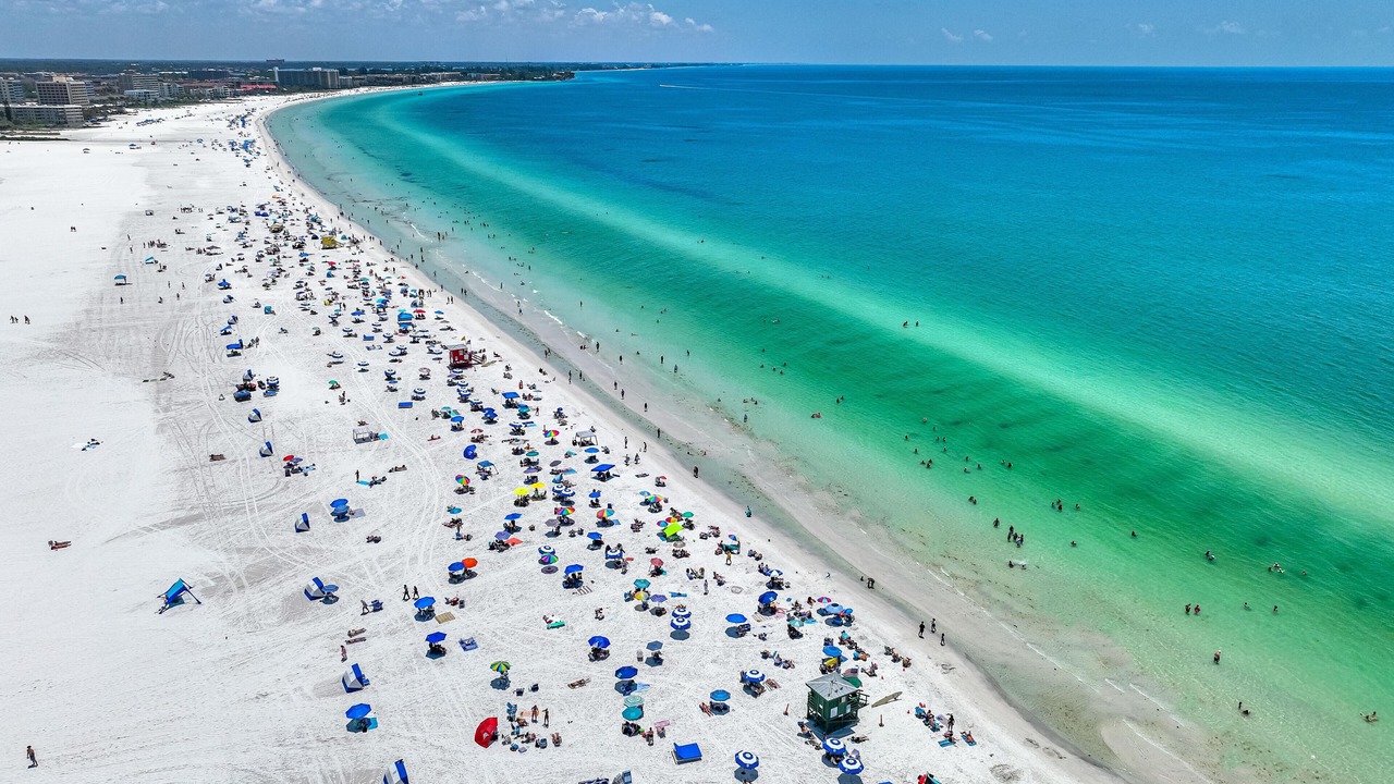 Photo of Others in Siesta Key