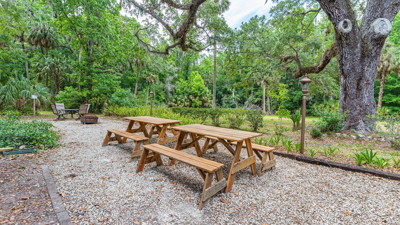 Photo of Outdoor in Chassahowitzka