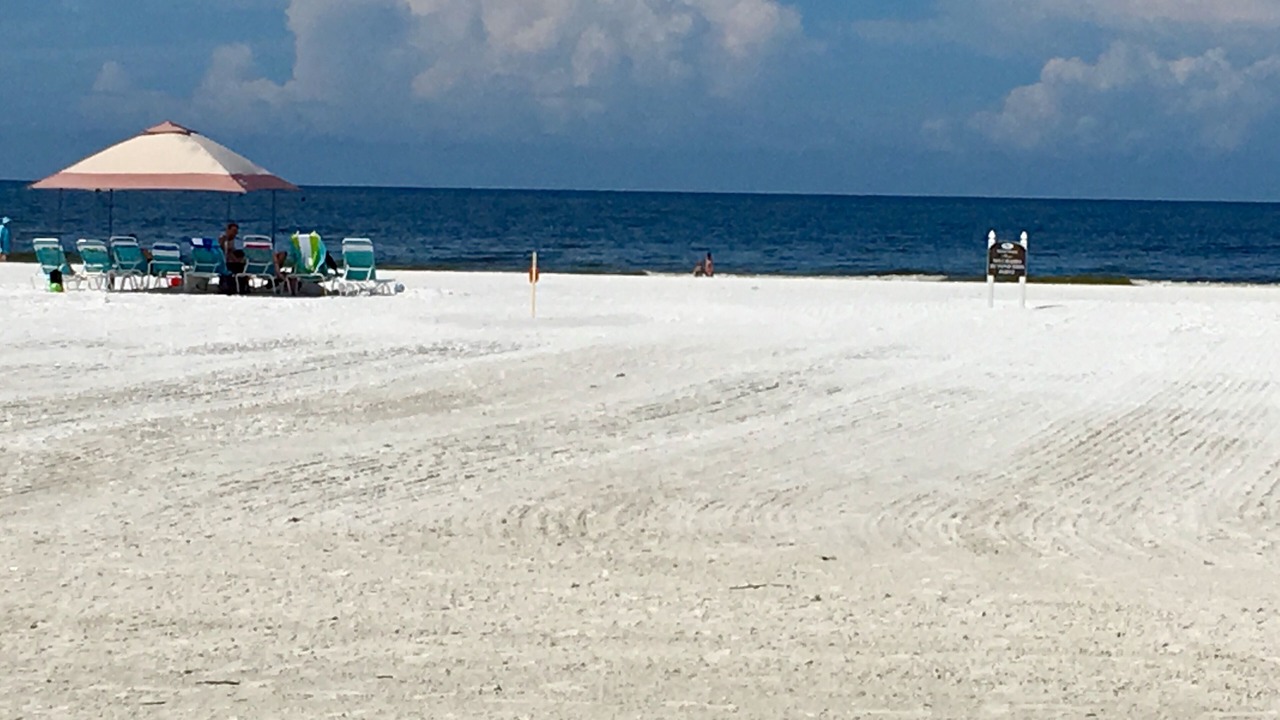 Photo of Others in Siesta Key