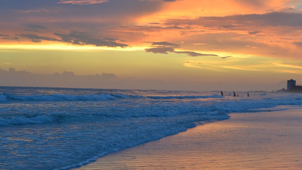 Photo of Others in Siesta Key