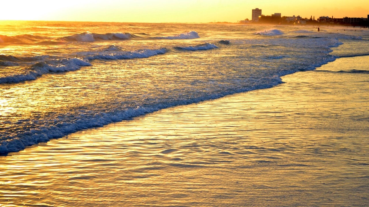 Photo of Others in Siesta Key