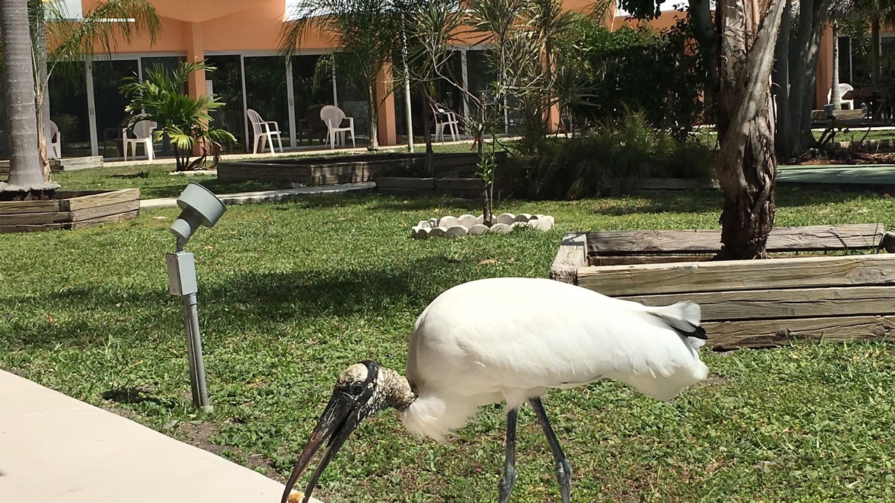 Photo of Outdoor in Warm Mineral Springs