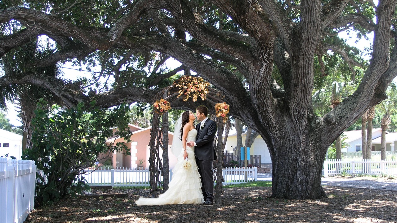 Photo of Outdoor in New Smyrna Beach