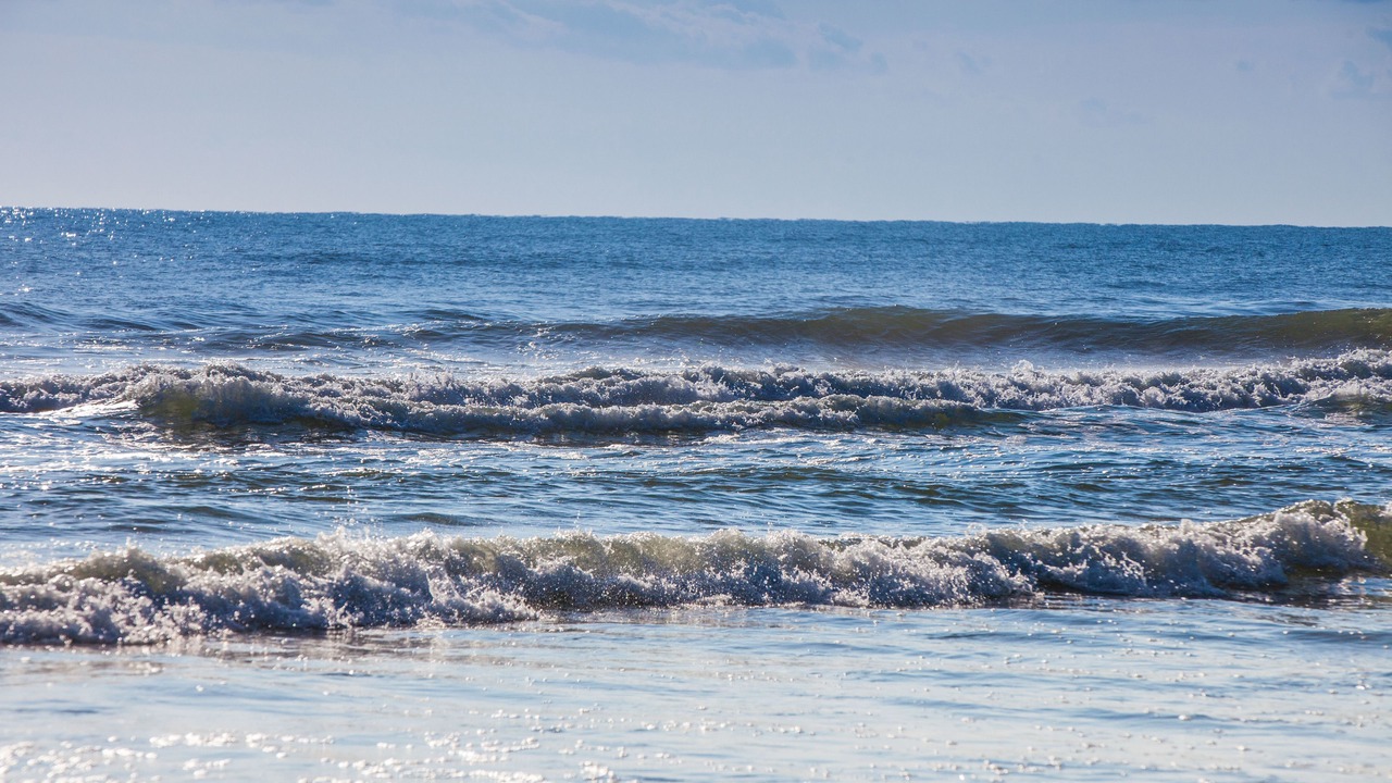 Photo of Others in New Smyrna Beach