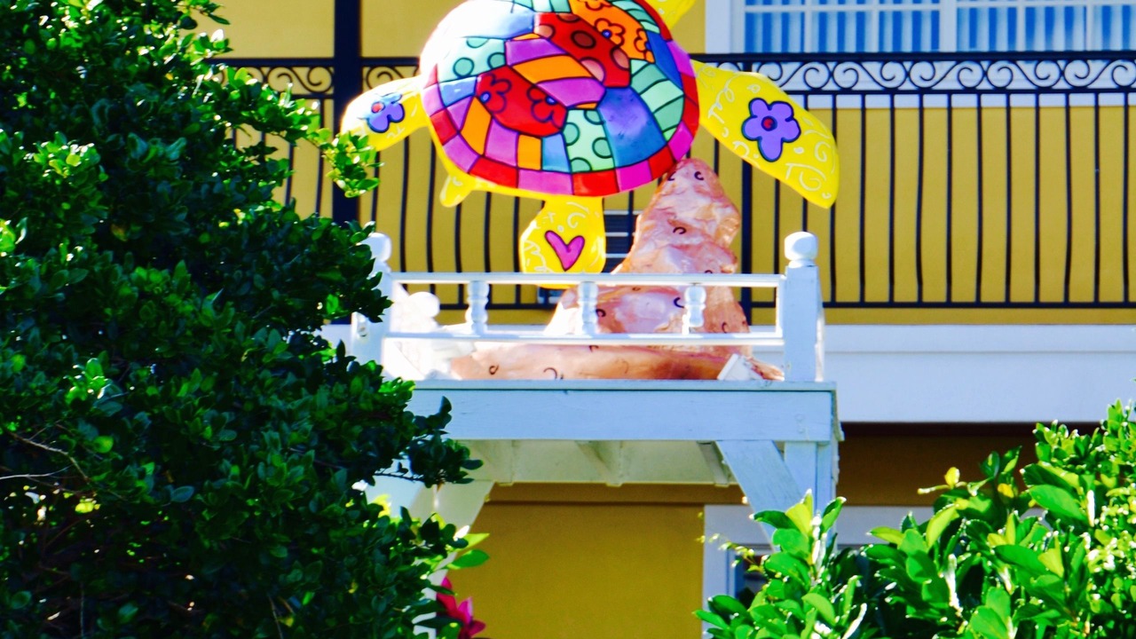 Photo of Outdoor in Central Beach
