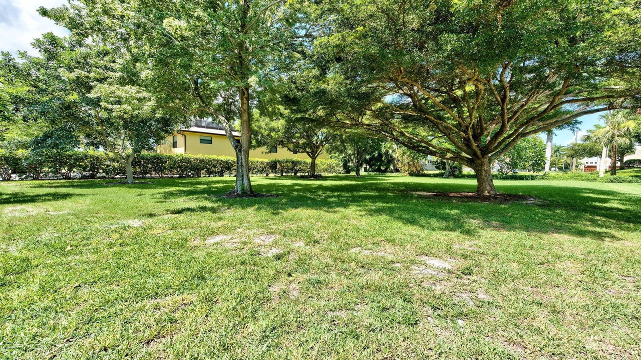Photo of Outdoor in Old Naples