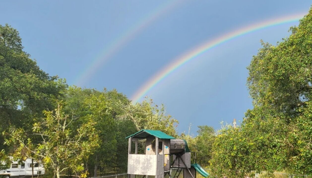 Photo of Others in Citrus Springs